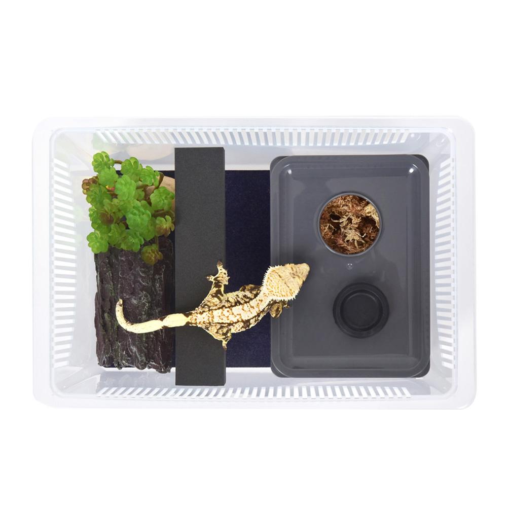 Repashit 爬虫類 湿式隠れ家 Lサイズ クレステッドゲッコー カメレオン 産卵ケース
