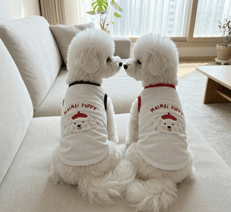 犬 春服 室内着 快適 デイリー ビション 画家 タンクトップ Tシャツ 犬服