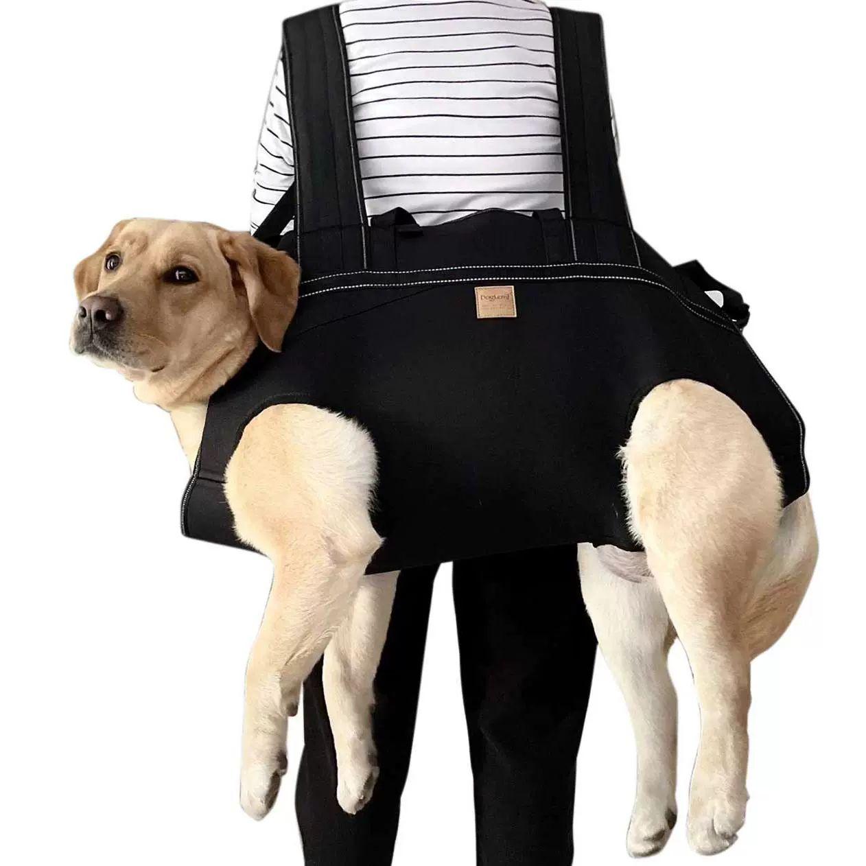 老犬用 キャリーバッグ 大型犬 犬用 サポート キャリア ペット用品 運搬 外出用 前かご