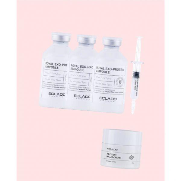 Éclado Royal Exo Protein Filler Ampoule 50ml, 3個