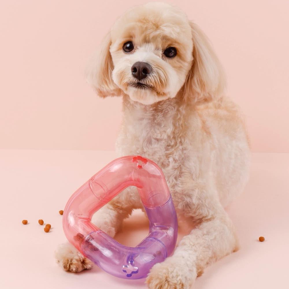 子犬 ノーズワーク トイ 無音 分離不安 訓練