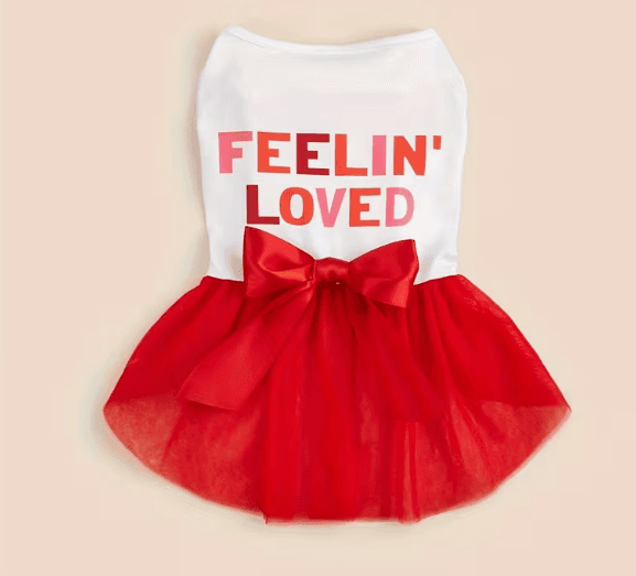 뉴데이즈 레드 튜튜 원피스 소형견 공주드레스 강아지옷