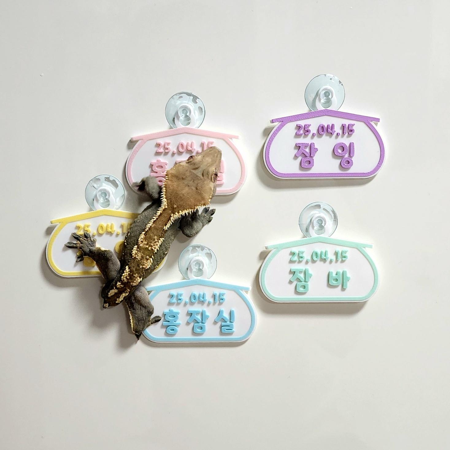 クレステッドゲッコー 吸盤式 日付 名札 飼育ケージ 小動物 爬虫類 ゲッコー トカゲ 名札