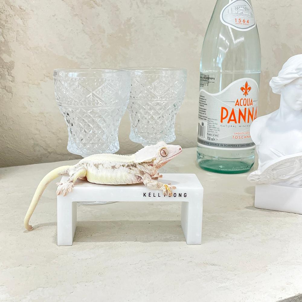 クレ バックアップ トカゲ カリソン 人工大理石 隠れ家 中 クレステッドゲッコー 用品 フィーディング台 クールマット