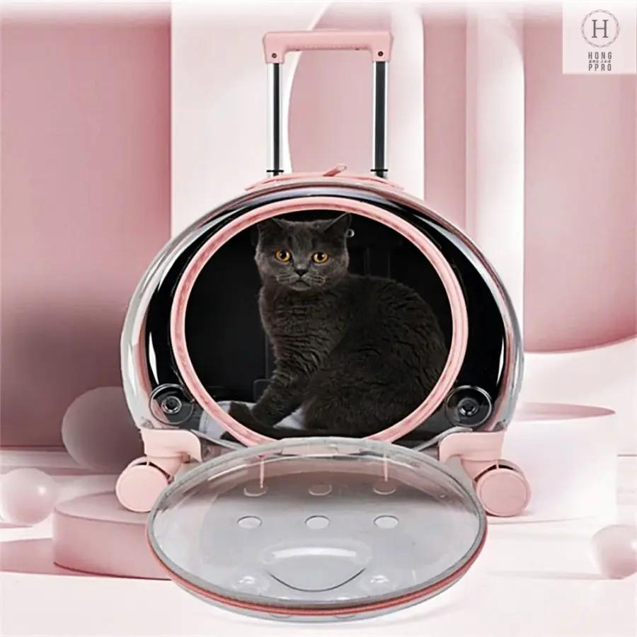 猫用病院用宇宙船 透明バックパック ペットキャリー 移動バッグ 丈夫な犬用バックパック