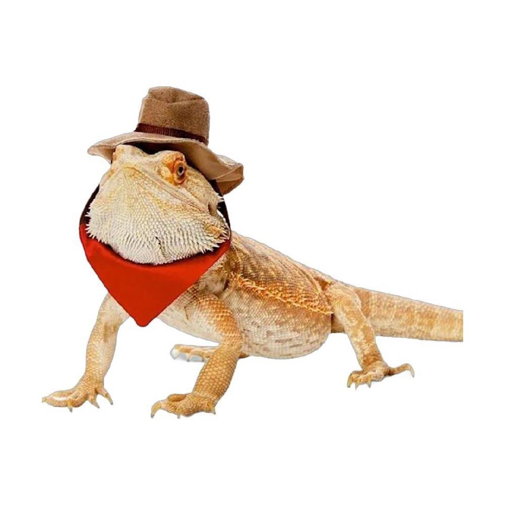 トカゲ帽子 爬虫類 コーディネート 衣装 用品