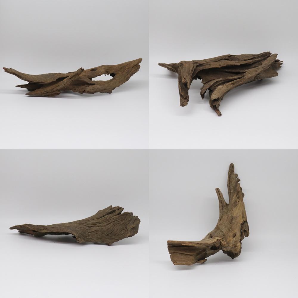 大型流木 天然木 30-40cm ビバリウム 爬虫類 シェルター