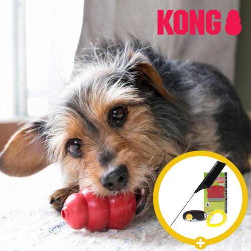 KONG Classic Mini 犬用おやつ・フードトイ ノーズワーク