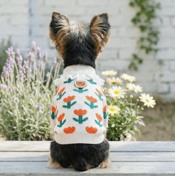 New Days フラワー刺繍 小型犬用春ニット 犬服