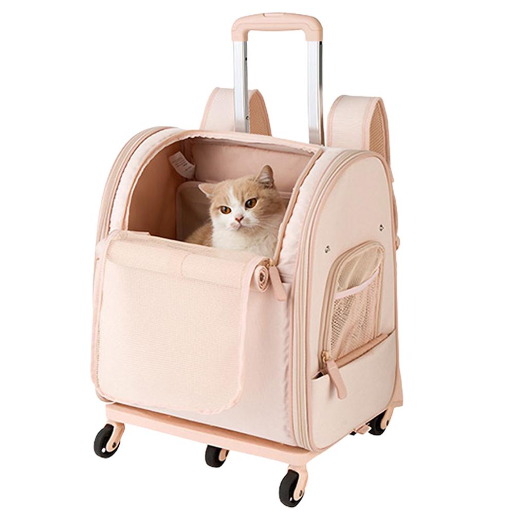 펫포에버 강아지 어썸 백팩 캐리어 강아지 이동가방 고양이 이동장 애견 기내용 가방 L 대형