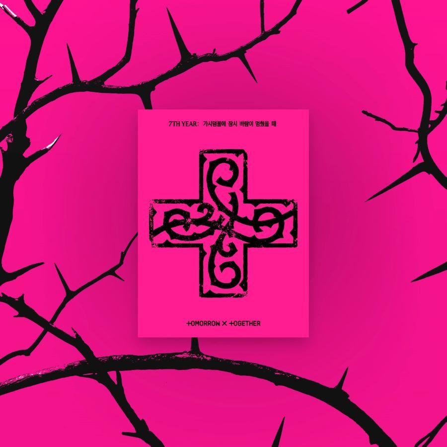 TXT TOMORROW X TOGETHER - 7TH YEAR 棘にしばらく風が止まった時 PPULBATU VER
