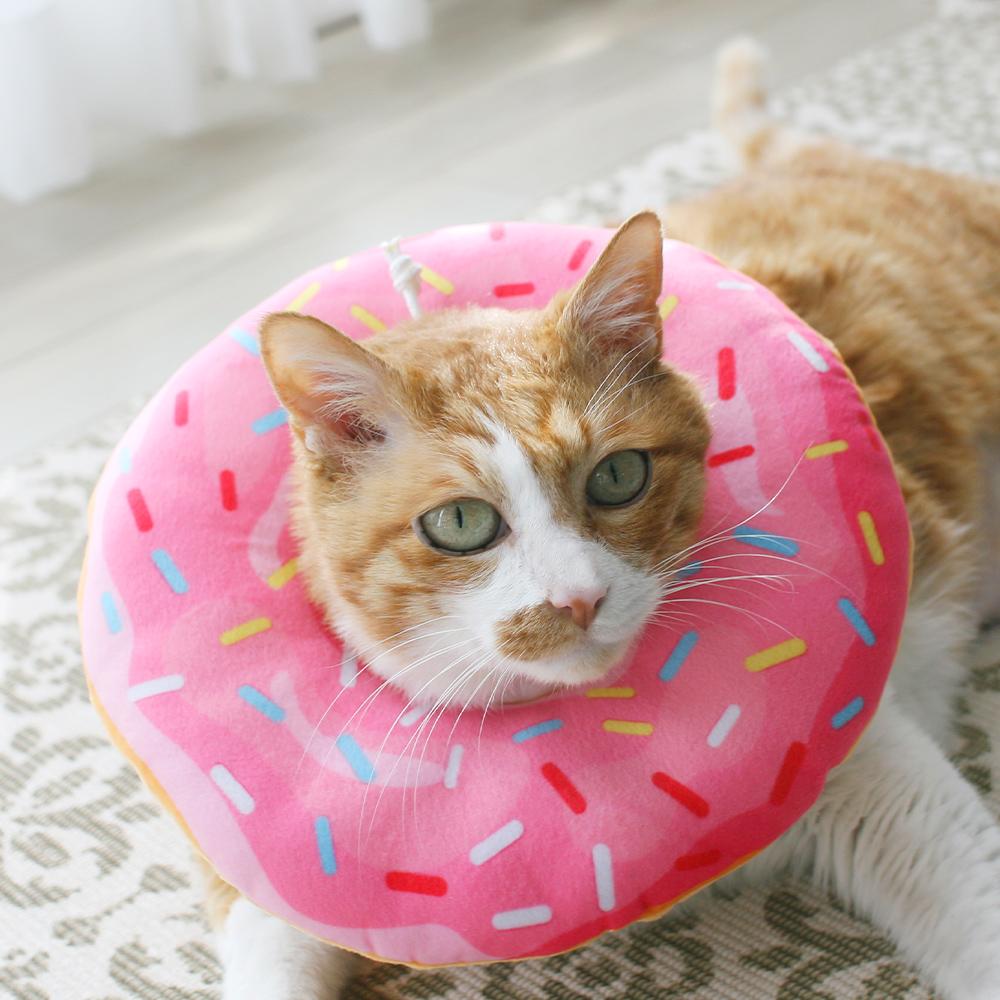 Jetea ドーナツ 猫 犬用 ネックカラー 漏斗型 保護襟 クッション 避妊去勢用 シロップドーナツ M 1個