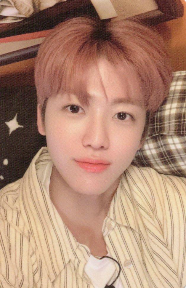 [재민/파랑] NCT DREAM 엔시티 드림 ISTJ 트레카 포토카드 포카