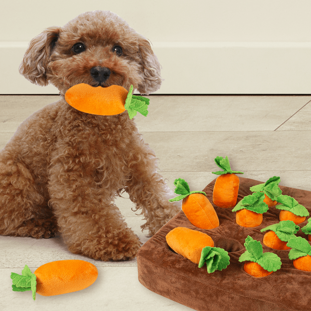 LUAZ 犬用ノーズワークトイ 分離不安 歯石除去 にんじん畑