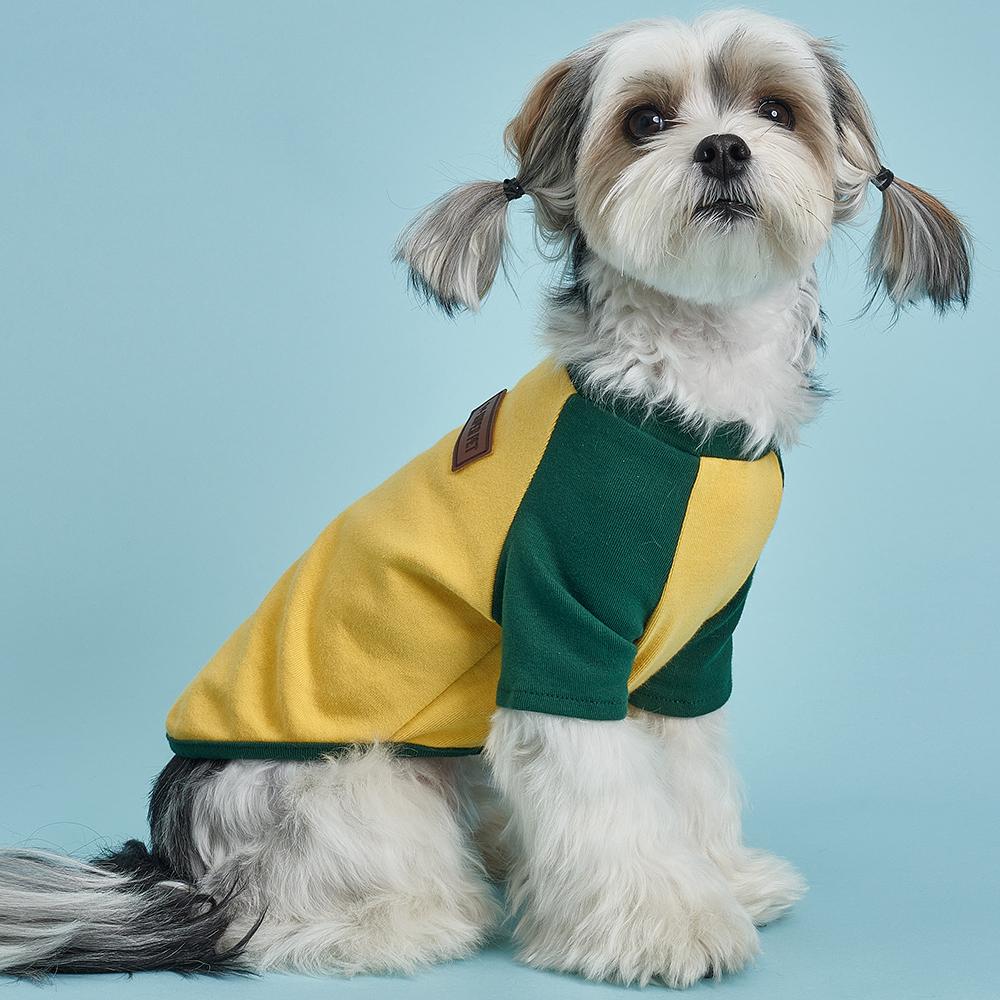 ラグランTシャツ イエロー S 犬服 ドッグウェア