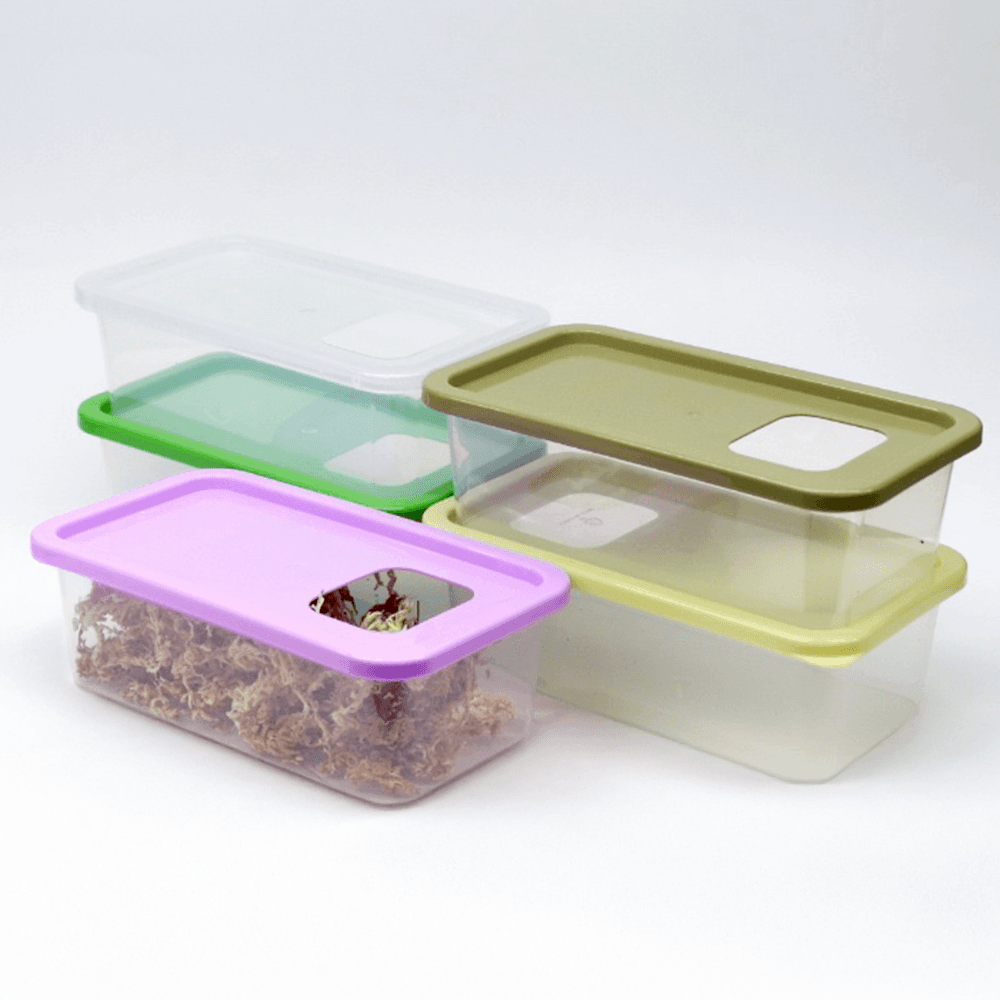 락사（Raksa） 爬虫類用 湿潤シェルター（小）/ 産卵ケース / クレスティッドゲッコー・レオパードゲッコー用 爬虫類シェルター