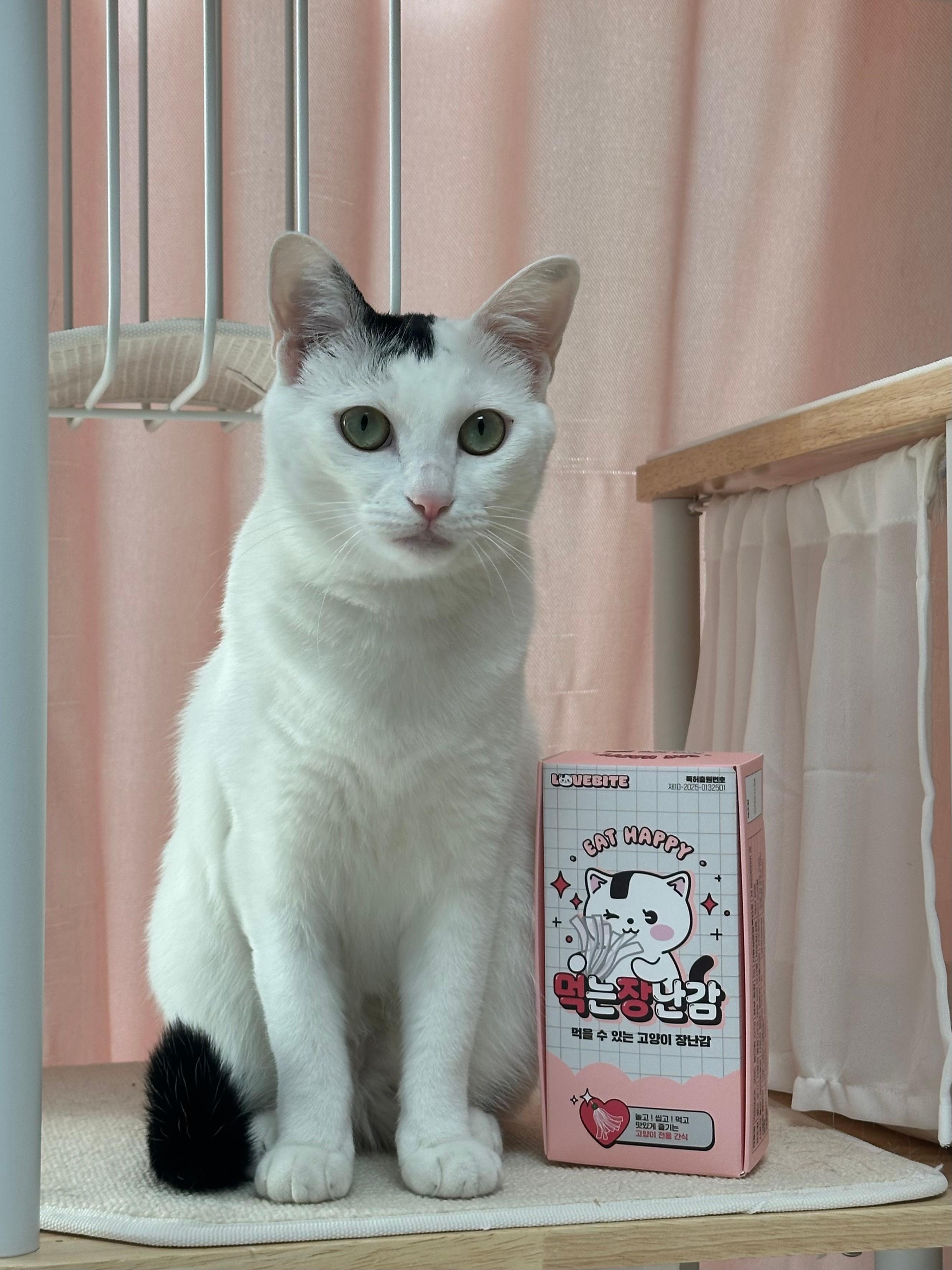 러브바이트 食べられる 猫用おもちゃ