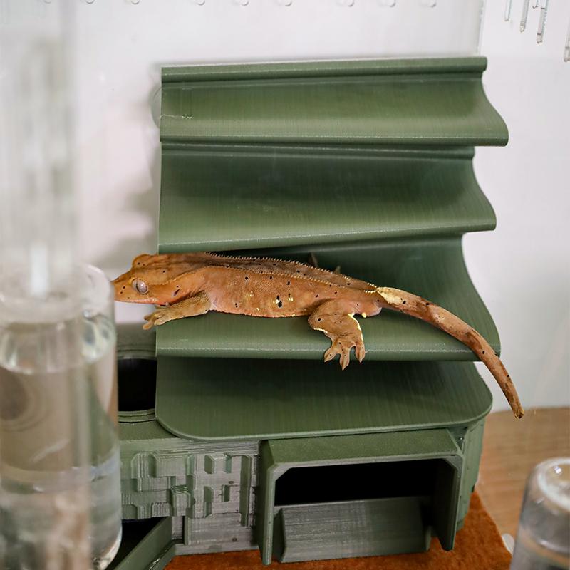 クレステッドゲッコー アパート 隠れ家 飼育ケース クレ ソ ジャングル バックアップ