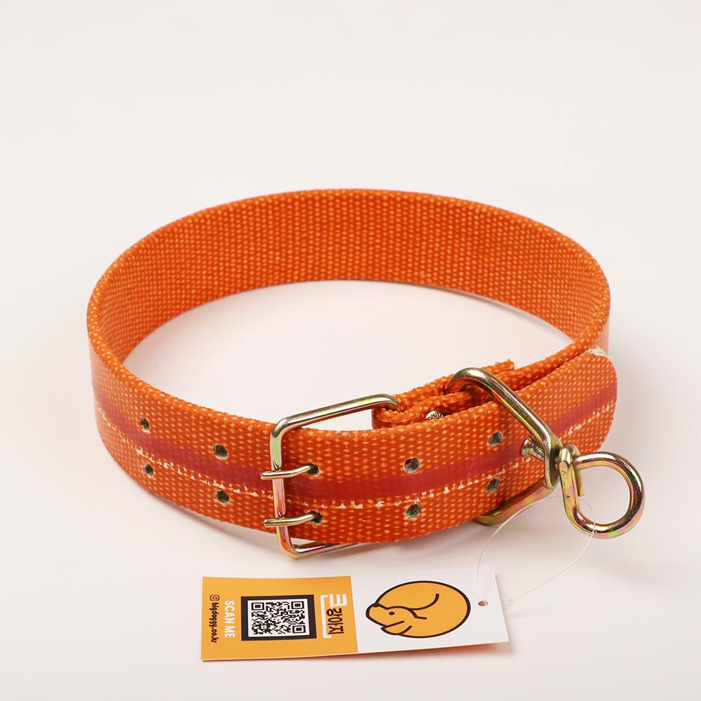 大型犬首輪 犬首輪 中型犬 チン ドク 犬 特大