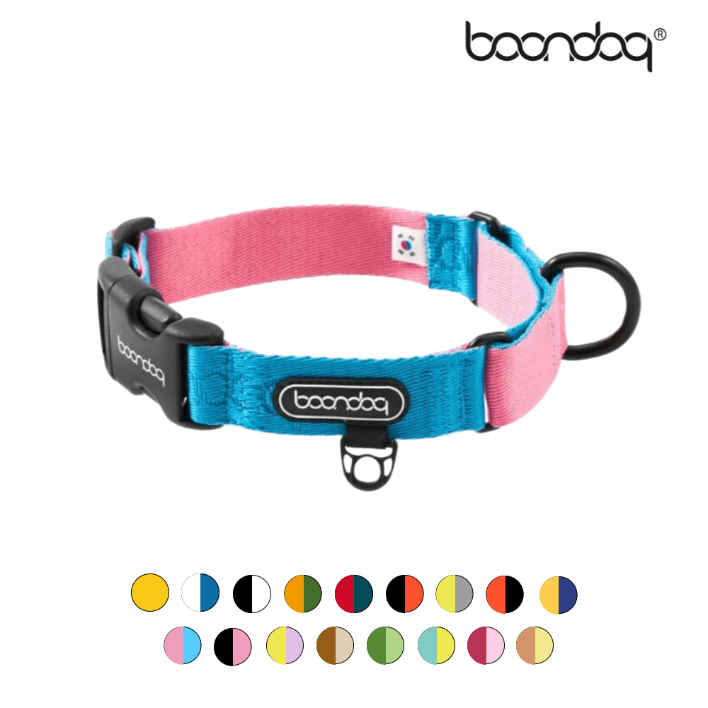 BONDOK マチンゲール オリジナル首輪 犬トレーニング リード Aqua Pink XS