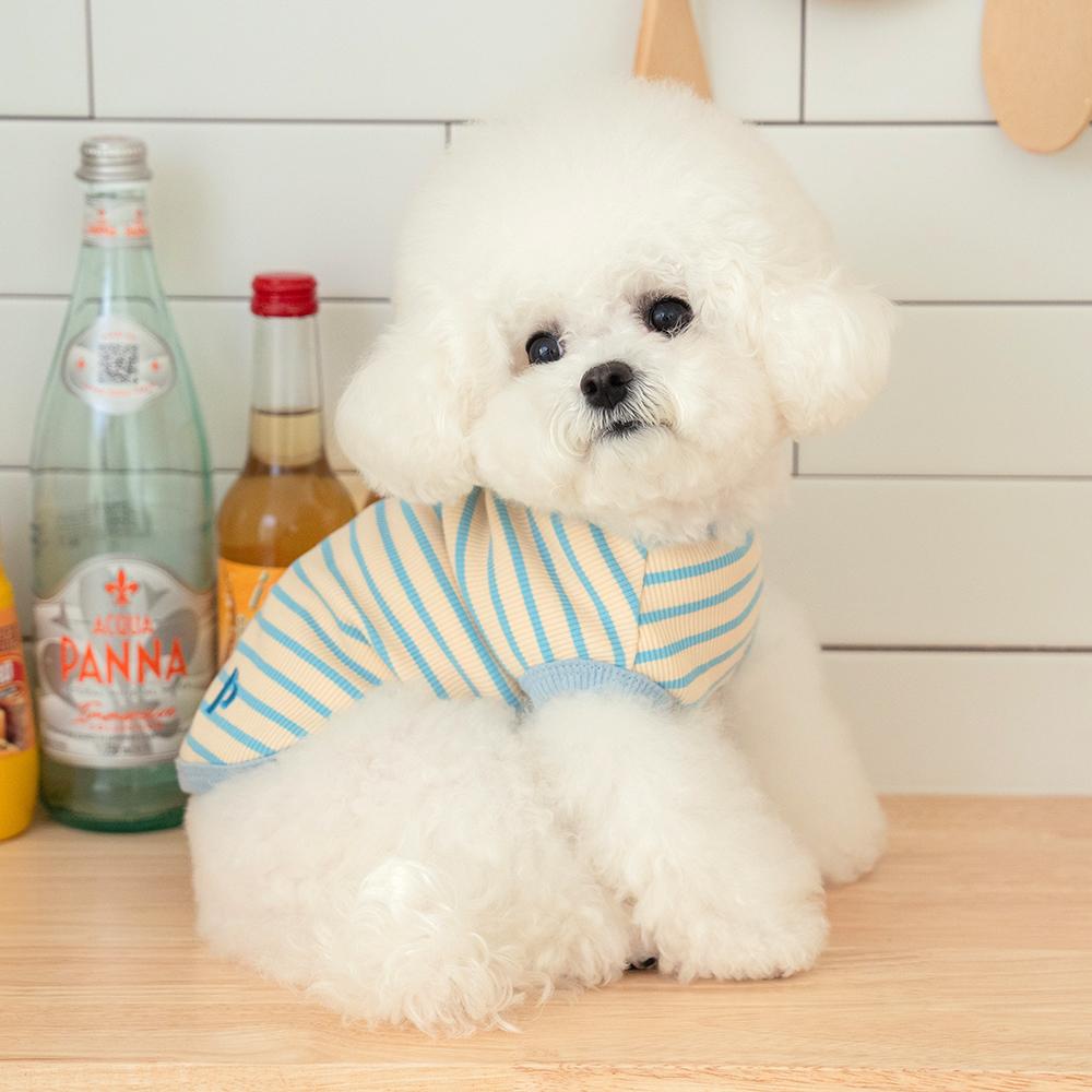 犬 夏服 犬服 クーリングTシャツ クールTシャツ