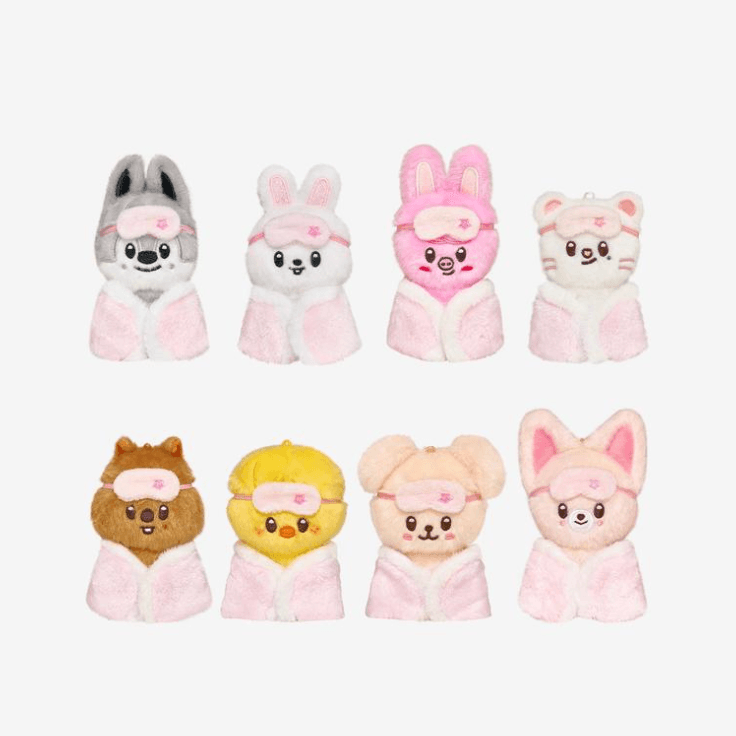 스트레이키즈 STRAYKIDS - 6TH 팬미팅 STAY in Our Little House 스테이 인 아워 리틀 하우스 MD 스키주 플러시 10cm