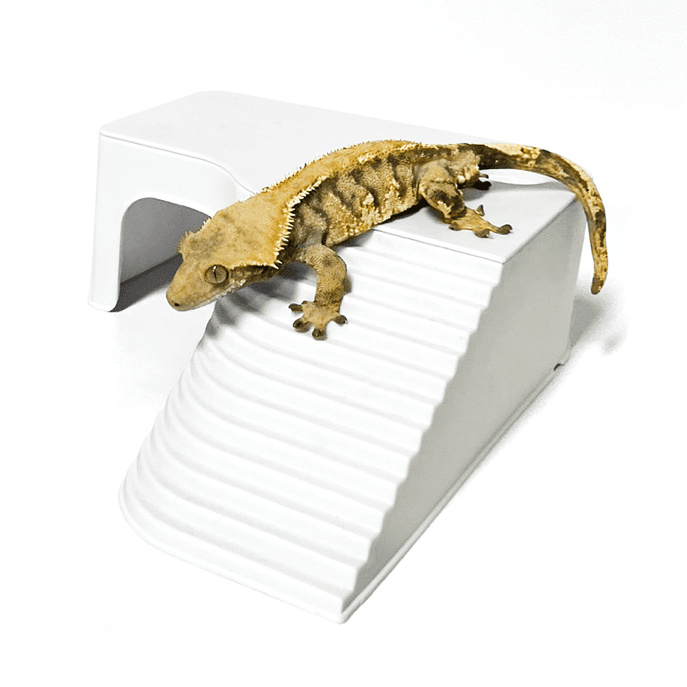 デュビア トカゲ 成体 ヴィラ 段 隠れ家 クレステッド クリスティッドゲッコー クレ 飼育場 家装飾 飼育