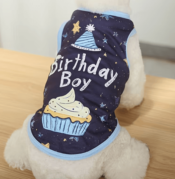 뉴데이즈 생일 케이크 강아지옷 L