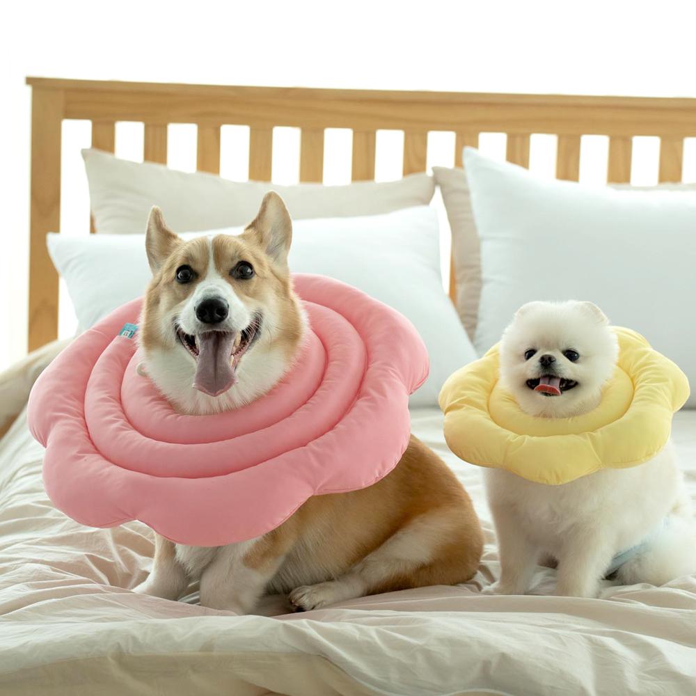 大型犬用 ネックカラー 中型犬用 ネックカラー 犬用 漏斗 (じょうご) 子犬 首保護 マリカラS