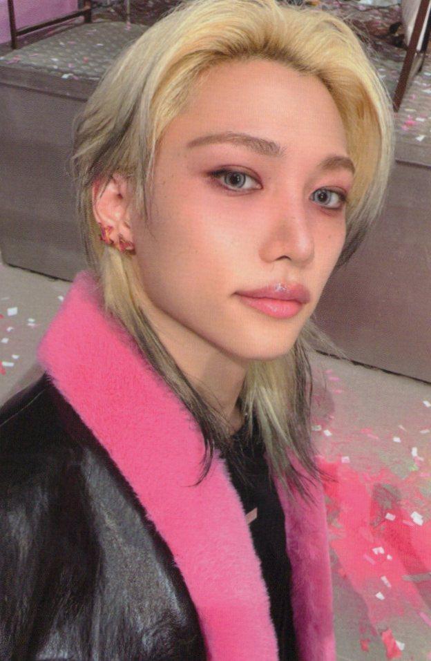 [フィリックス/ミュプル] Stray Kids DO IT ドゥイット 予約販売 特典 フォトカード ポカ