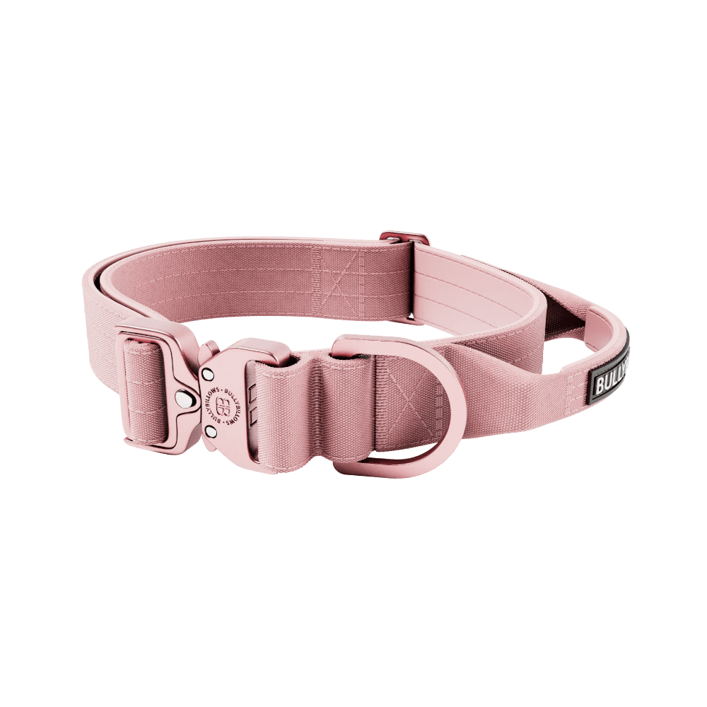 ブリービロー 4cm Lighter Combat 首輪 2X ピンク