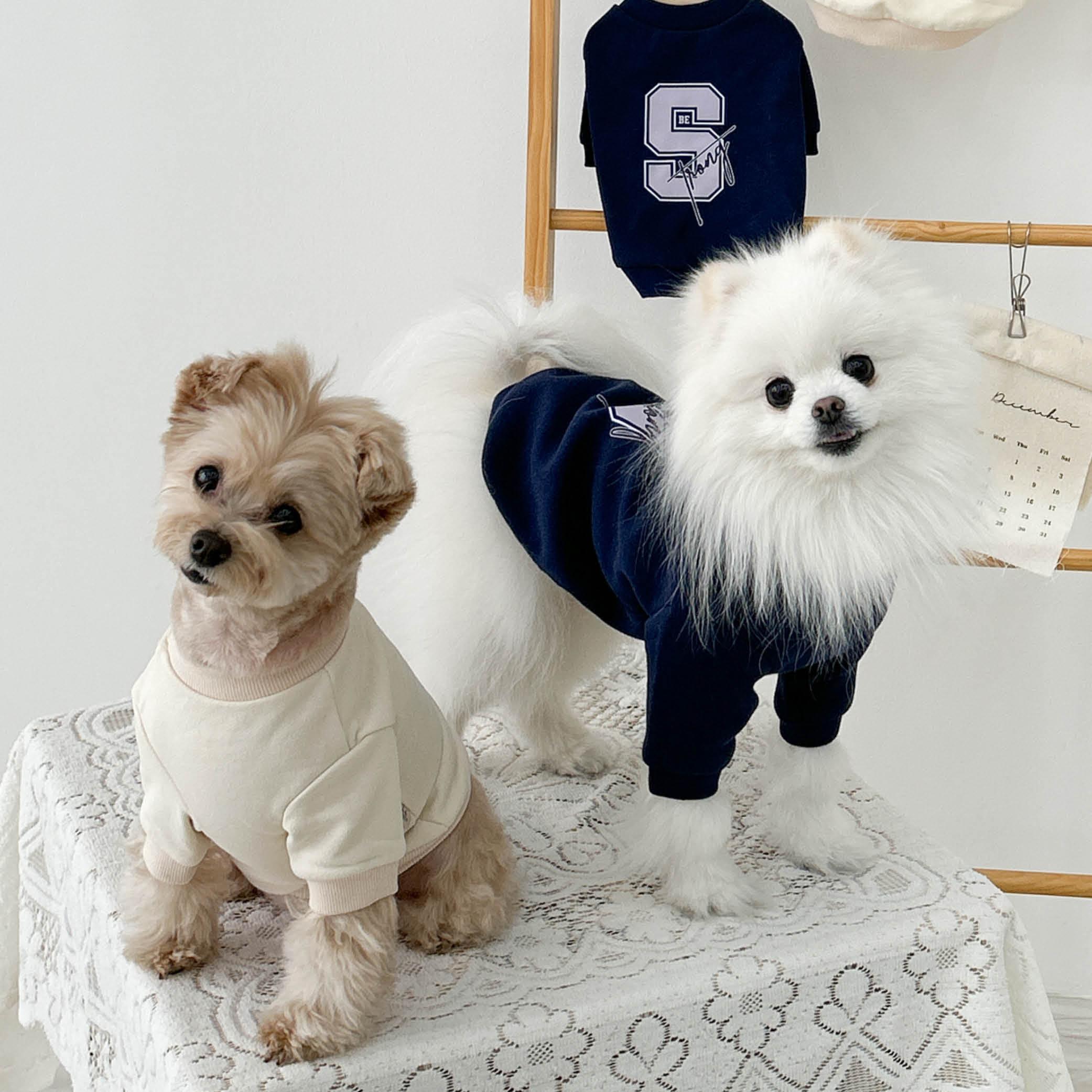 ルージエン 犬服 外出着 デイリー 愛犬 部屋着 スウェット S Tシャツ