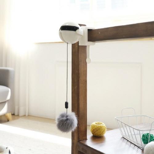 옥희독희 캣요요볼