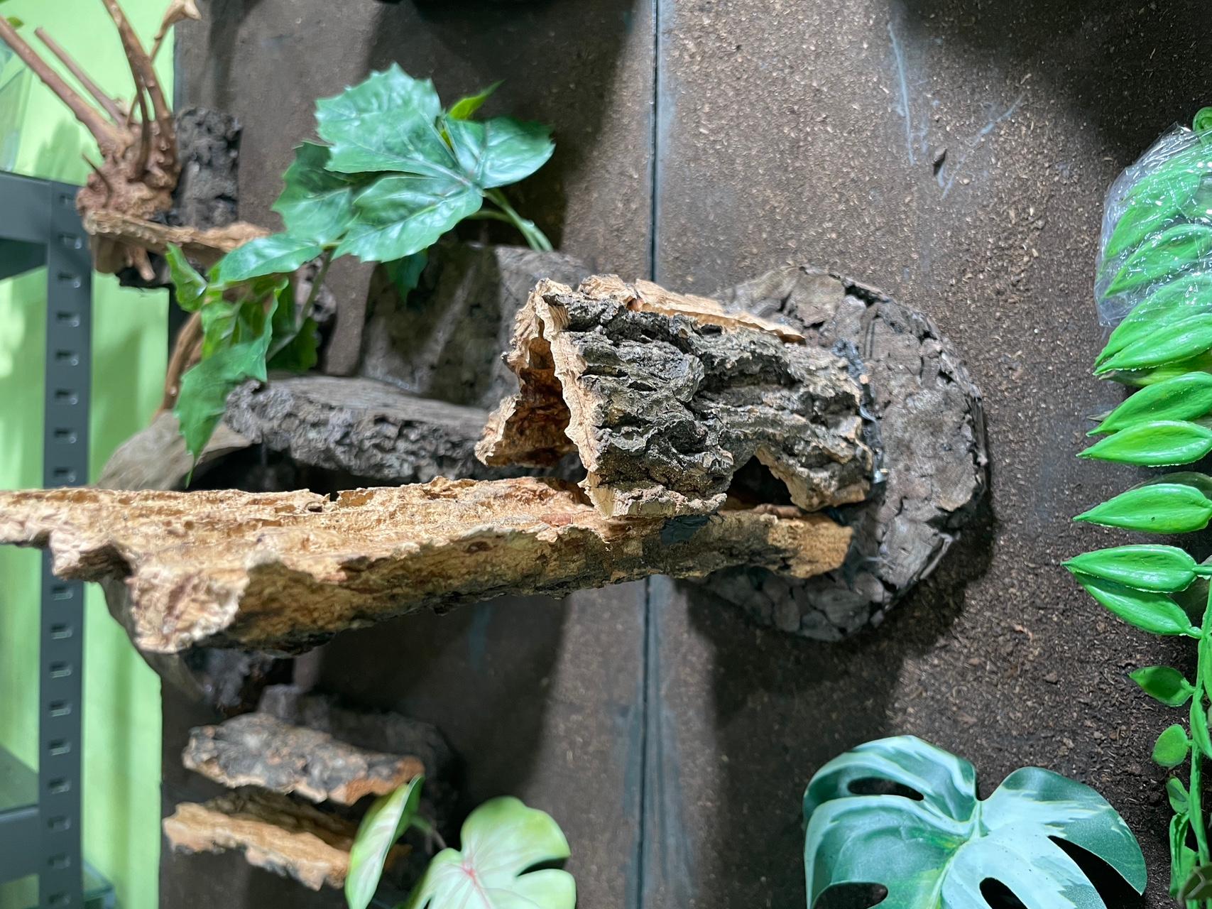 ペンション 長脚 屋根裏ブロック (バックアップ機能 トカゲ隠れ家＆休憩所 クレ用品 爬虫類隠れ家)