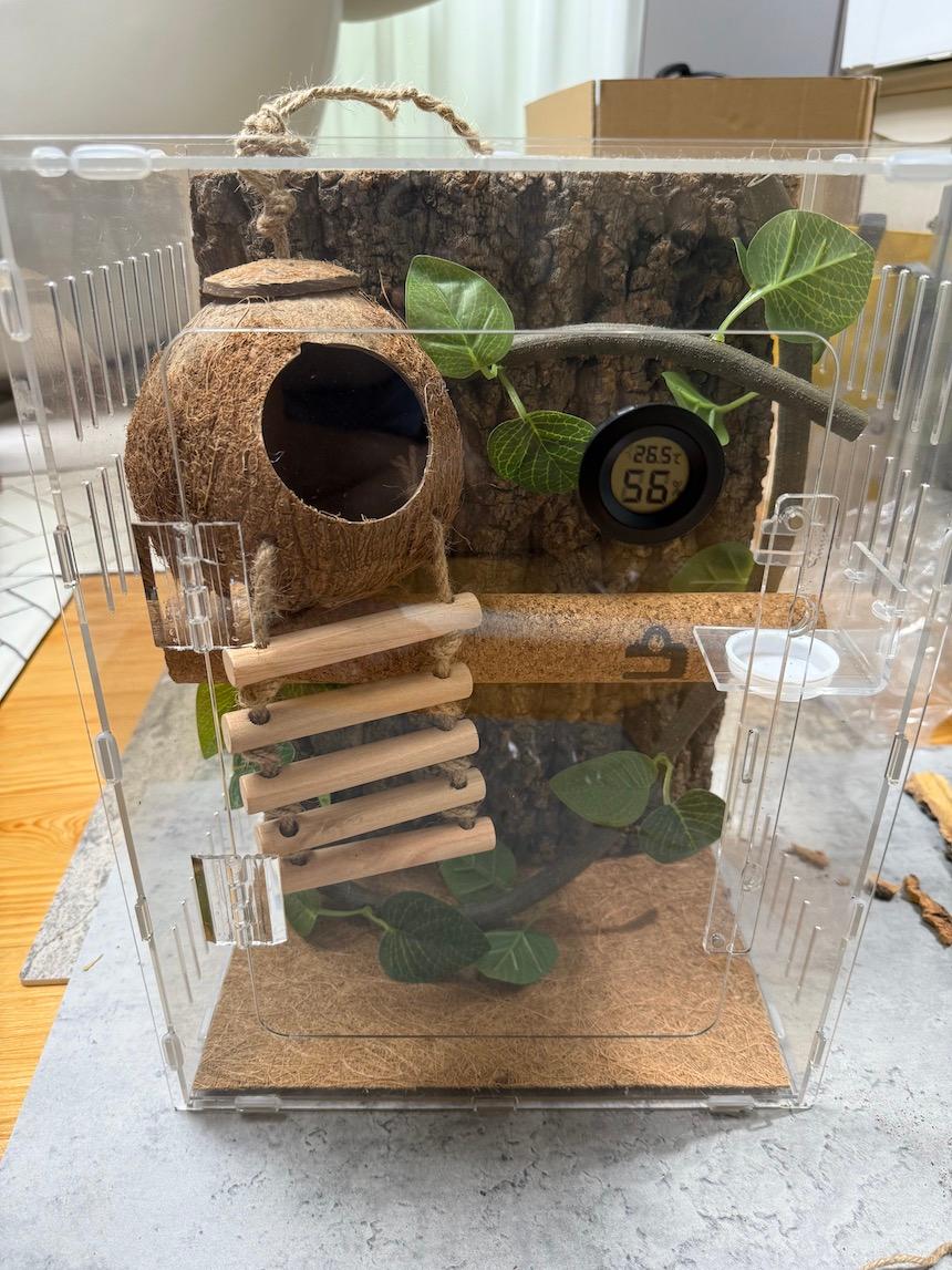 チョンハナム（※ブランド名として想定） クレステッドゲッコー トカゲ飼育セット 初心者 隠れ家 クリスティッド