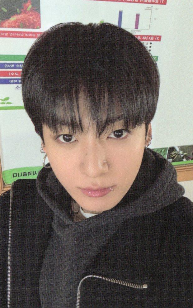 [정국/위버스/흰색] 방탄소년단 BTS 아리랑 ARIRANG 예약판매 특전 포토카드 포카