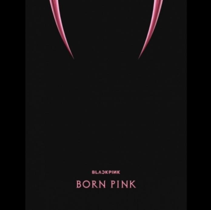 BLACKPINK ブラックピンク 2nd Album - BORN PINK BOX SET (PINKバージョン)