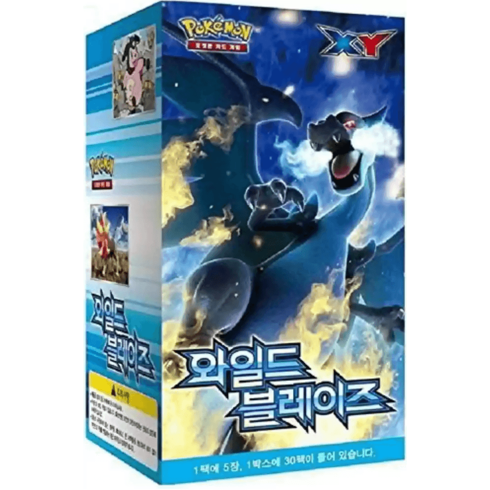 포켓몬카드 XY 시리즈 확장팩 제2탄 「와일드 블레이즈」 미개봉 단종 고전 박스