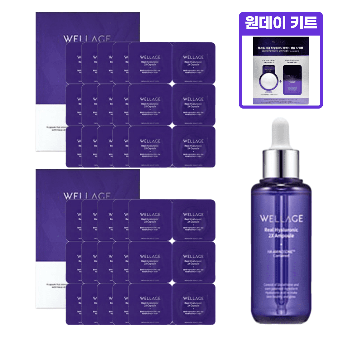 WELLAGE (ウェラージュ) 캡슐 アンプル シーズン3 61回分+アンプル70ml リアル ヒアルロニック 凍結乾燥 ヒアルロン酸