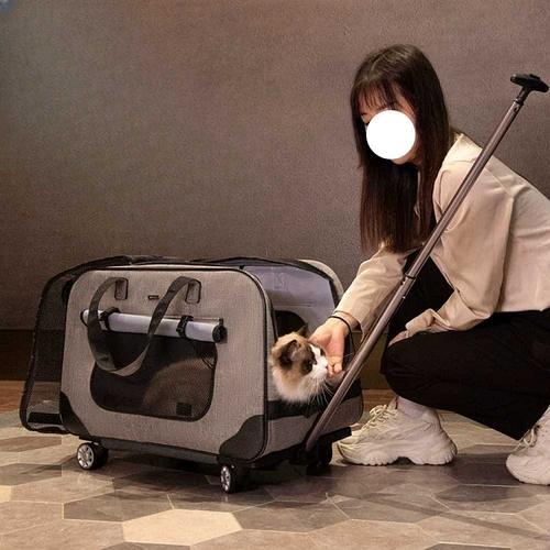 펫캐리어 투명 바퀴달린 이동장 가방 고양이 애완동물