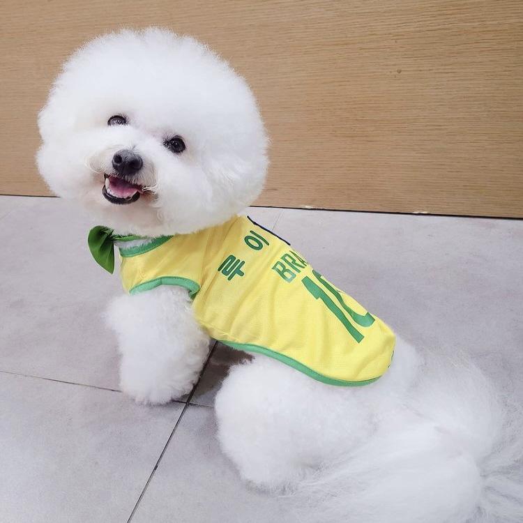 犬・猫用 サッカーユニフォーム 小型犬・中型犬・大型犬、アルヘン、XS