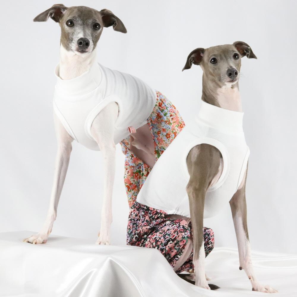 IG服 イタリアン・グレーハウンド服 IG もっこり 犬 オールインワン S