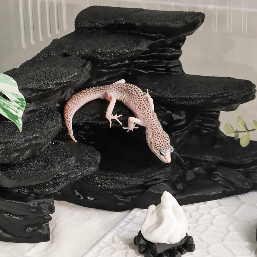 レオパードゲッコー 飼育ケージ 内部レイアウト 隠れ家 陸ガメ