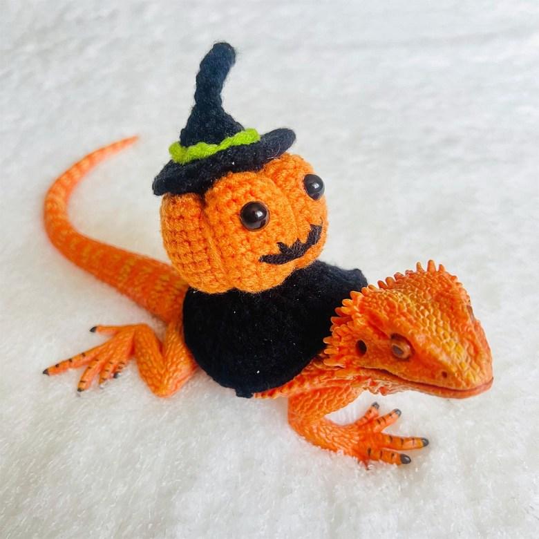 トカゲ服 ハロウィンコスプレ 飼育ケース 小物 爬虫類セーター 1個 15-20cm ハロウィン パンプキン