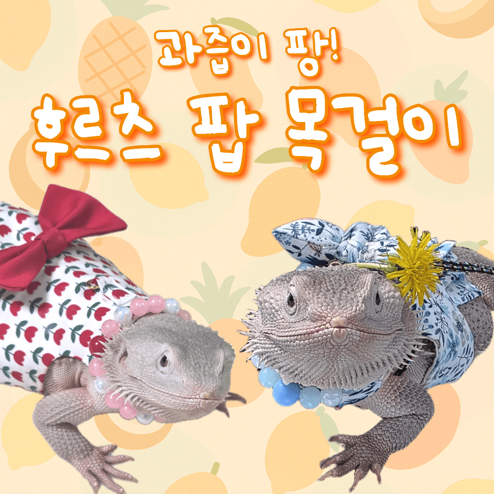 비어디드래곤 도마뱀옷 파충류옷 후르츠팝 목걸이 짱부띠끄