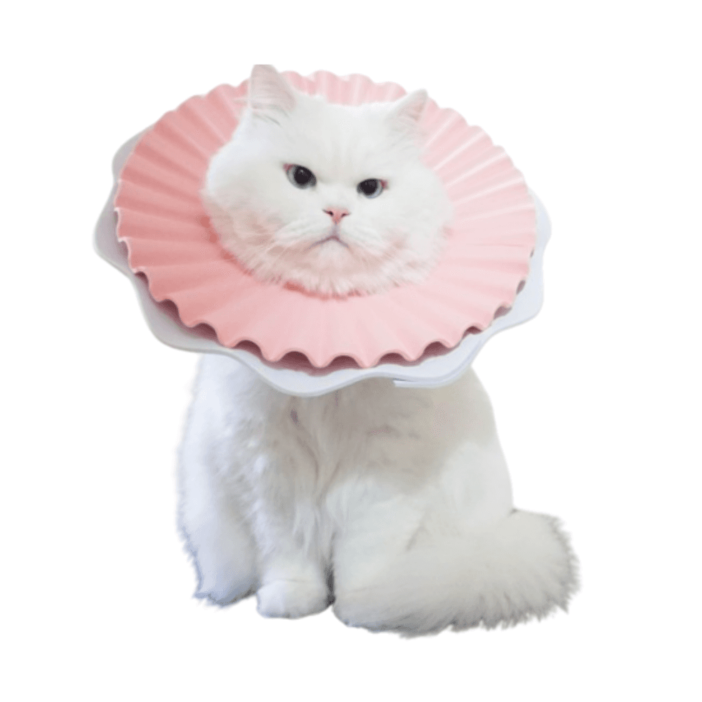 진심커머스 엘리자베스 강아지 고양이 중성화 넥카라 목쿠션 넥쿠션 깔대기 깔때기 핑크S