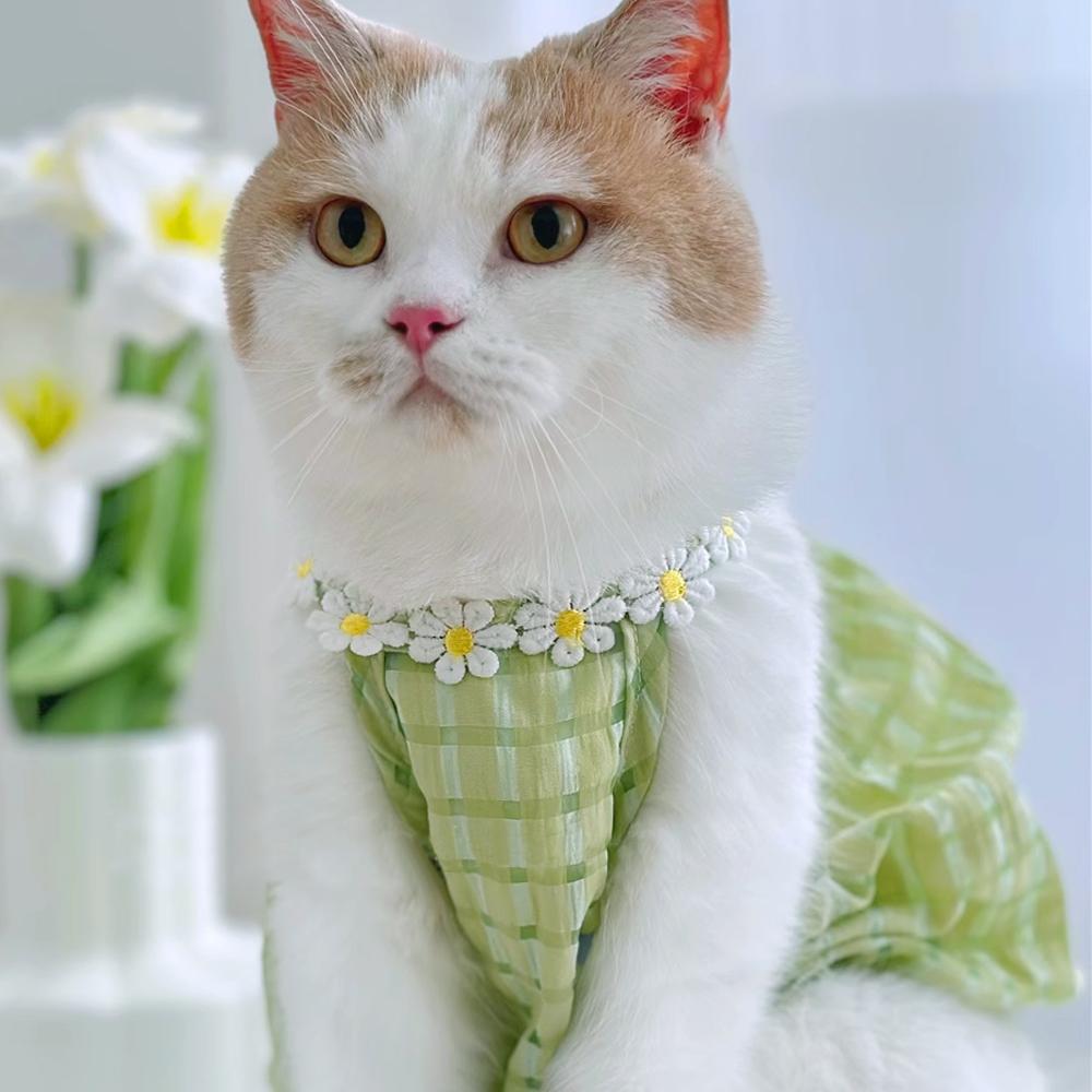 猫服 猫ベスト 専用 夏 快適 睡眠 室内着