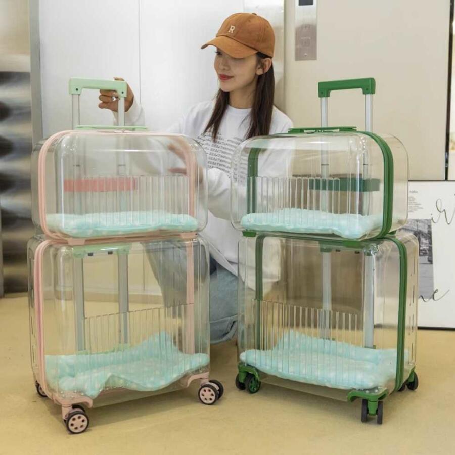 猫用透明ケージ 2color グリーン 宇宙船 レイク ペットキャリー グリーン 2段 2匹用 ピンク キャリー